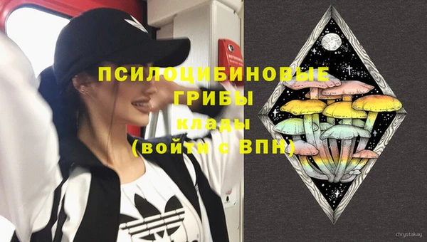 стаф Покровск