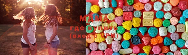 молекула духа Покров