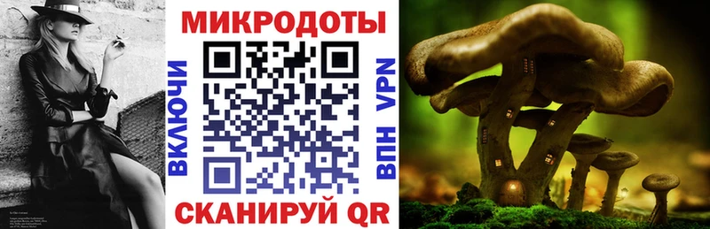 магазин продажи   Почеп  Галлюциногенные грибы Magic Shrooms 