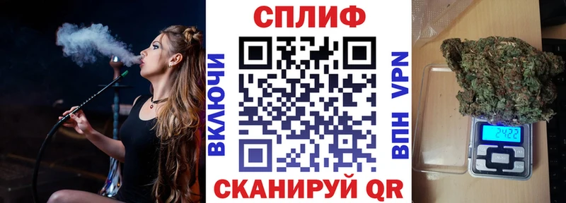 Бошки Шишки конопля Почеп
